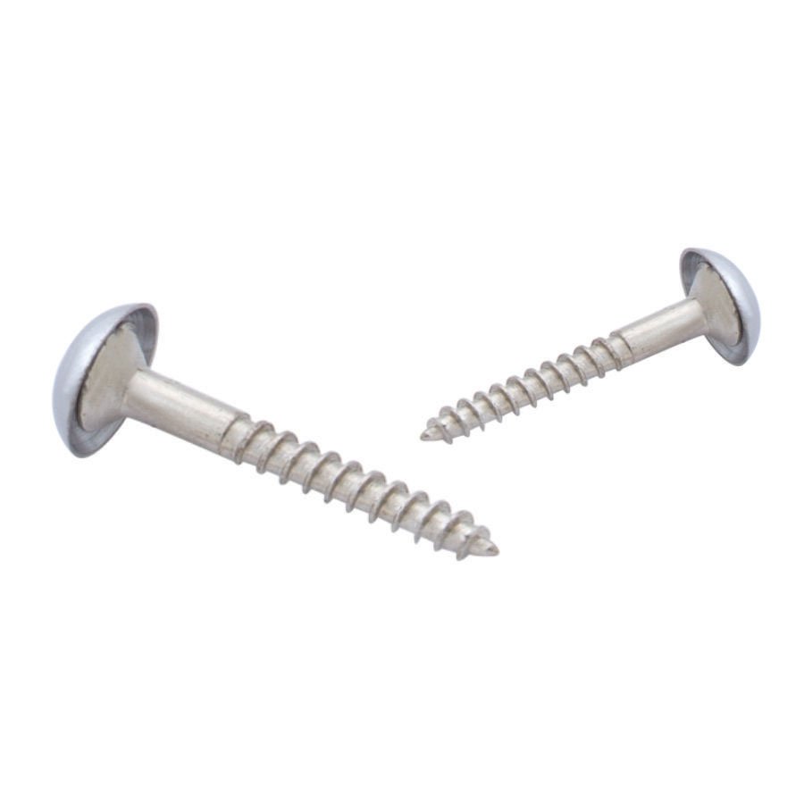 G1 Mirror Screw